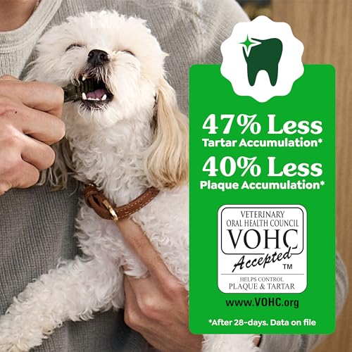 Large Natural Dental Dog Treats (4 Count (Pack of 1))