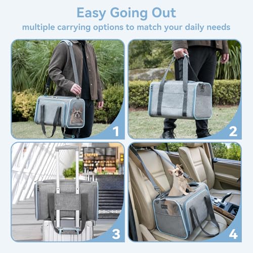 Large Expandable Cat Carrier for Travel (19.0"L x 12.0"W x 12.0"H / Light Gray)