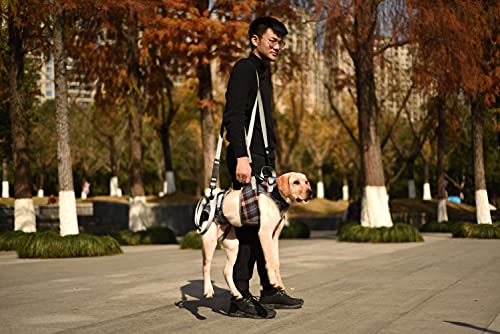 Shoulder Belt Strap for Dog Lift Harness (F / Shoulder Strap)