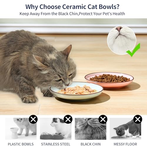 6 Inch Ceramic Cat Bowls (6 Inch, Set of 6 / Gradient Color)