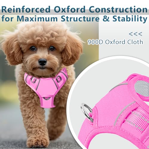No Pull Dog Harness for Small Sized Dogs (Small(Chest:19.5-26”) / Pink-Oxford)