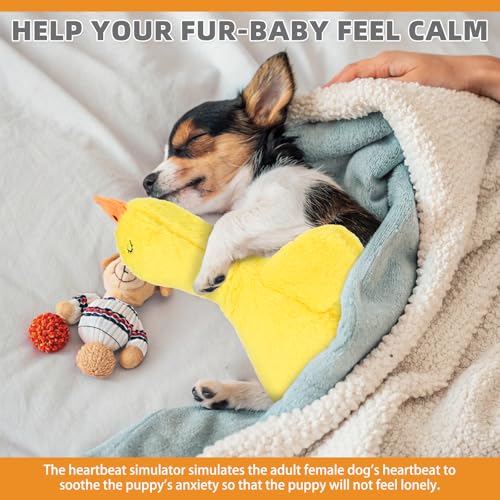 Calming Duck Toy for Dogs (Yellow)