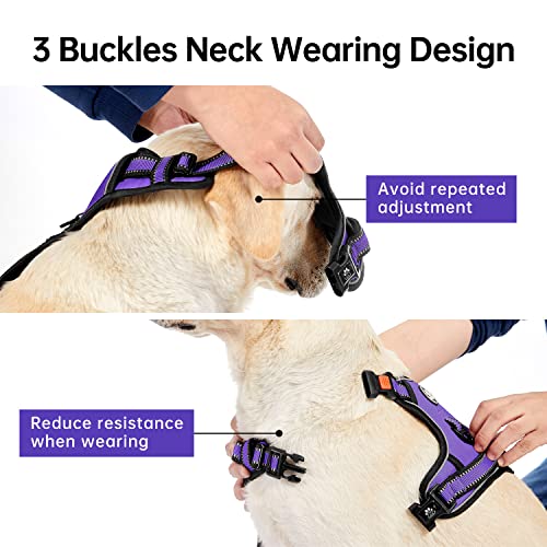 No Pull Dog Harness for Small Dogs (Purple / Small)
