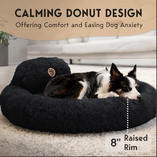 PetJett Large Dog Bed (Black / Large - 36”L x 36”W x 8”Th)