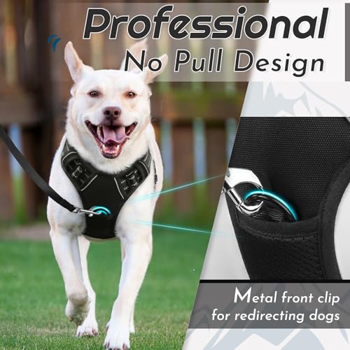Dog Harness for Large Dogs (X-large / Black)
