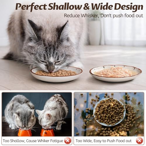 Clock Cat Food Bowl (Clock-3 Pack)