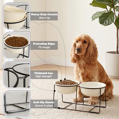 Ceramic Elevated Dog Bowl Set (Beige / XL × 2)