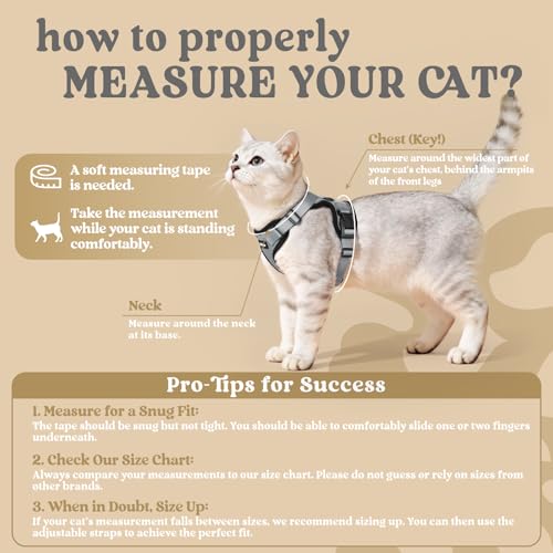 Cat Harness and Leash Set (M / Grey)