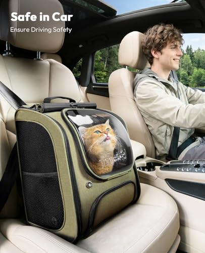 Cat Backpack Carrier (reen / 12.6"L x 10.2"W x 16.5"H)