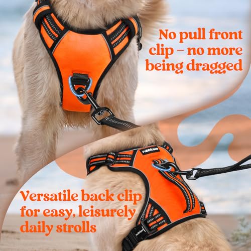Large Dog Harness (Large / Orange)