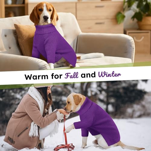 Small Dog Sweater (Purple / Small)