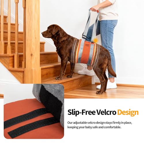 Dog Lift Harness (M / Brown)