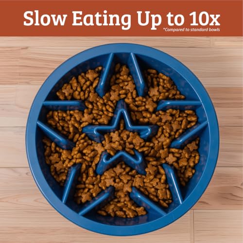 Slow Feeder Dog Bowls (1.5 Cup / Blue)