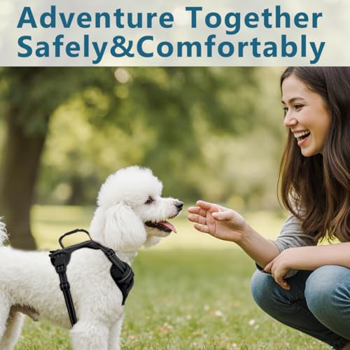 Dog Harness No Pull with ID Tag Pocket (Small(Chest:19.5-26”) / Black)