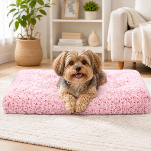 Dog Bed Medium Size (Pink / 23"L x 18"W x 3"Th)