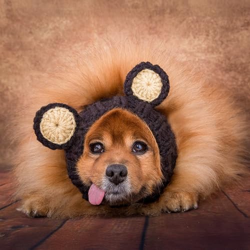 Black Bear Costume (Large / Black Bear)