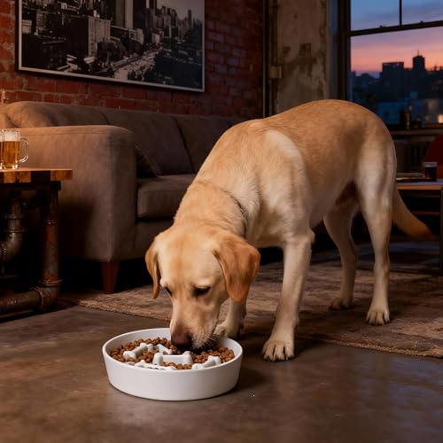 Ceramic Slow Feeder Dog Bowls (White Bone)