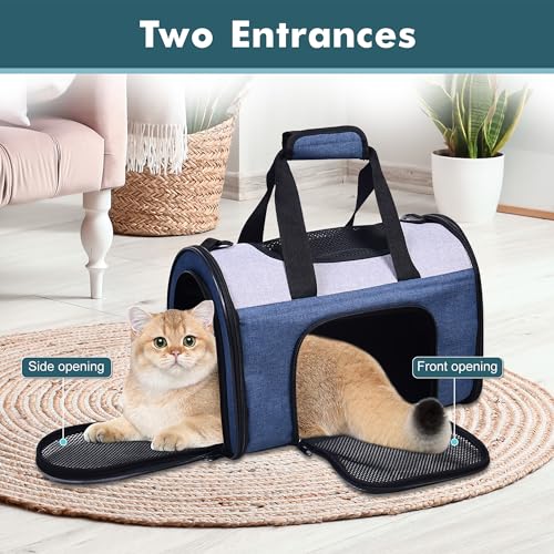 Airline Approved Soft (16.0"L x 10.0"W x 11.0"H / Blue Gray)