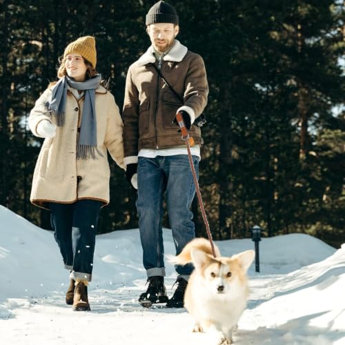 Chain Dog Leash (brown / 7.25FT(5-30lb))