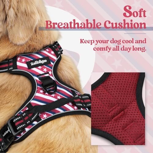 Dog Harness No Pull for Large Dogs with 2 Leash Clips (Large / Red Stripe)