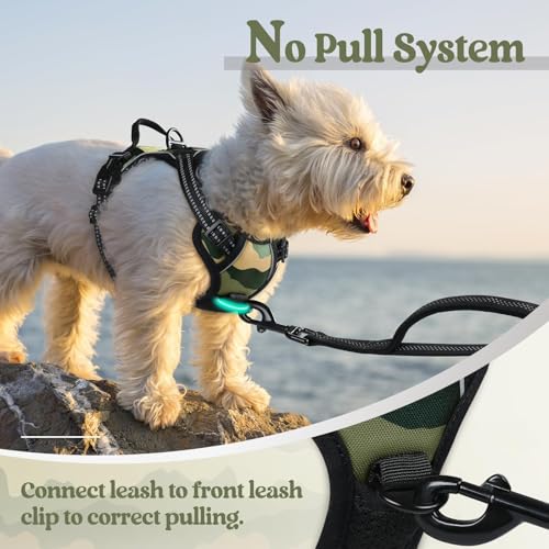 Dog Harness No Pull for Small Dogs with 2 Leash Clips (X-Small / Green Mountain)