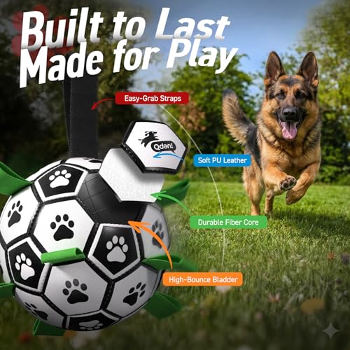 Large Dog Toys (Black Green / 9 Inch)