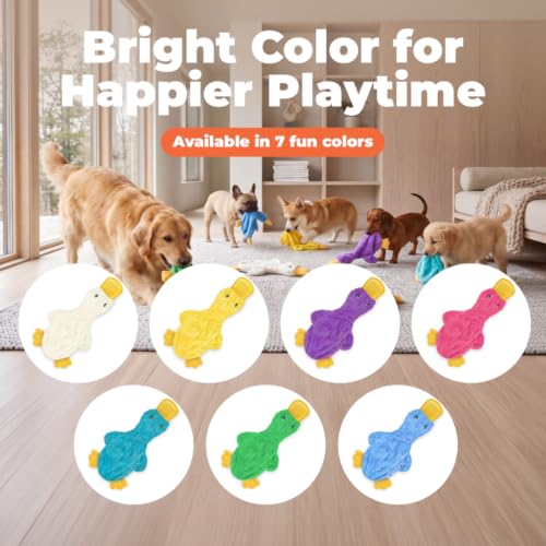 Interactive Squeaky Dog Toy (aCrinkle Duck (Light Green) / Large)