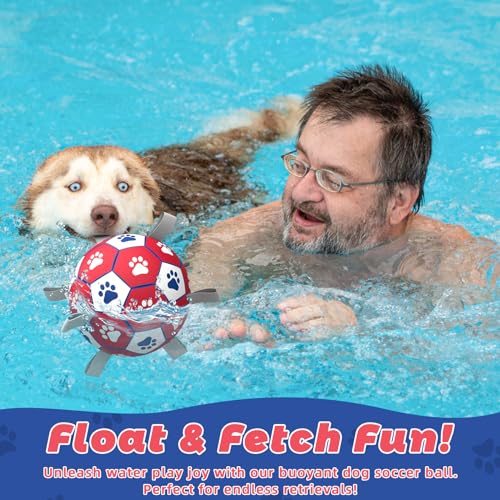 Dog Balls with Straps (7 Inch / Red)