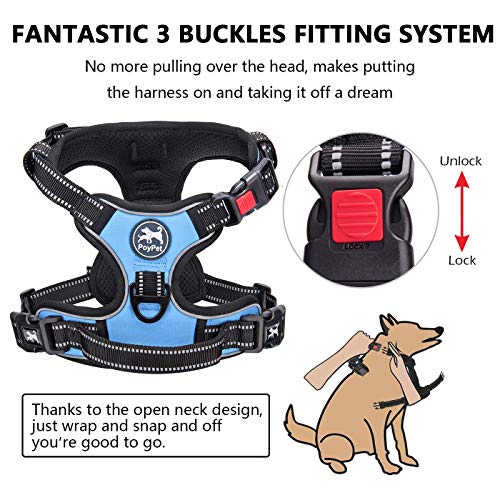 No Pull Dog Harness Large with Front Clip & Neck Release Buckle (XL / Light Blue)