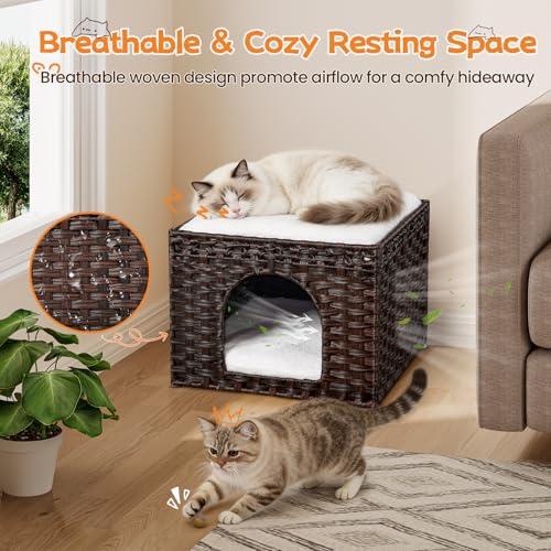 Handwoven Rattan Cat House (Brown)