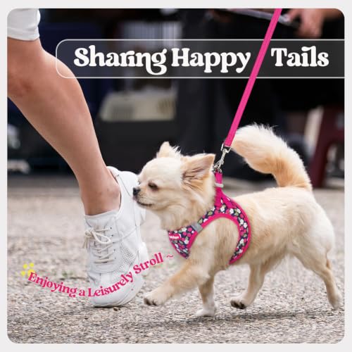 Dog Harness Small Sized and Leash Set (Pink Berry / Xs (chest: 13.3 - 15.5"))