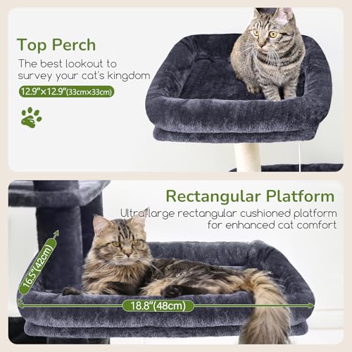 65in Sturdy Cat Tree Tower for Indoor Large Cats (65inch / Dark Grey)