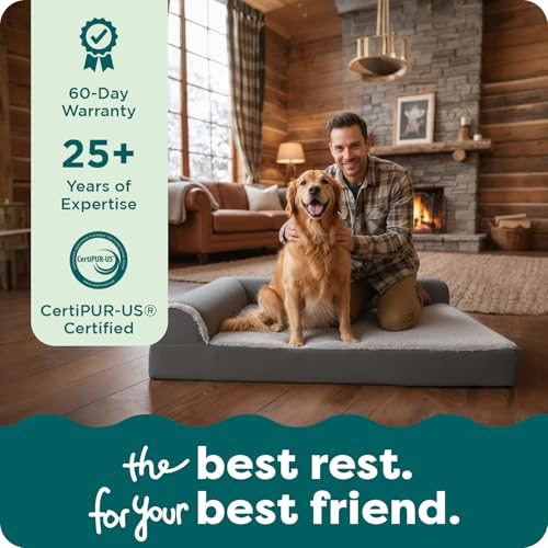 Orthopedic Dog Bed for Large Dogs (Jumbo Plus / Espresso)