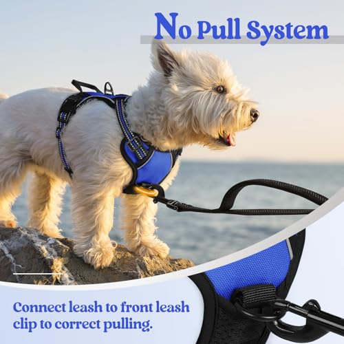Dog Harness No Pull for Small Dogs with 2 Leash Clips (X-Small / Dazzling Blue)