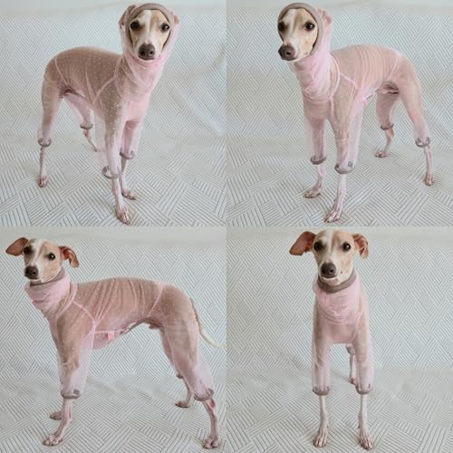 D Doggy Star Italian Greyhound Clothes Sheer Mesh Onesie Summer Jumpsuit Breathable Full Body Protection for Outdoor Walks Small Whippet Fit (L / Sheer Mesh Pink)