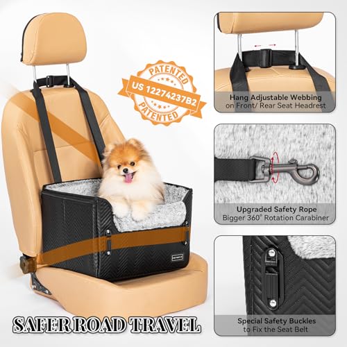 Small Dog Car Seat