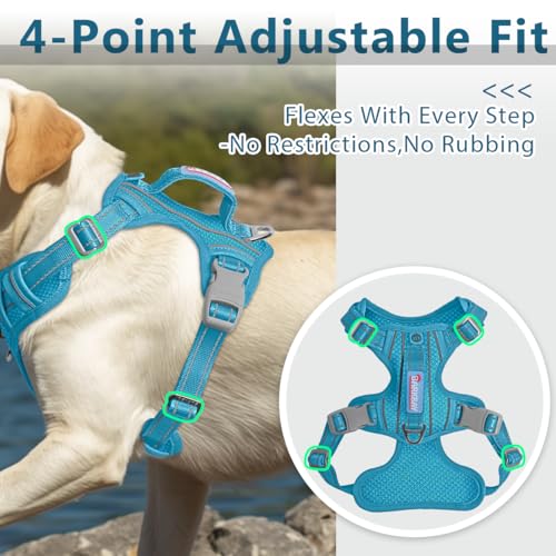 No Pull Dog Harness for Medium Sized Dogs (Medium(Chest:22.5-28") / Ocean Blue)