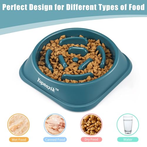 2 Pack Slow Feeder Dog Bowls for Medium Dogs & Cats (Medium / Black and Navy Blue)