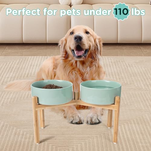Elevated Dog Bowls Ceramic (8.3 in - 7.6 cups / Light Green)