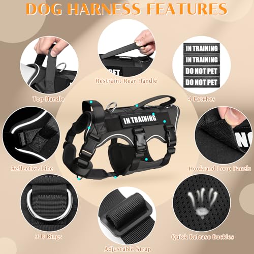 Escape Proof Dog Harness with Double Handle+4 Removable Patches (X-Large / Black)
