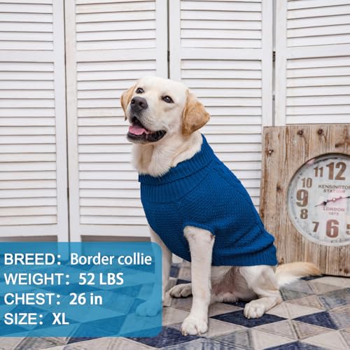 Turtleneck Dog Sweater (Medium / Royal Blue)
