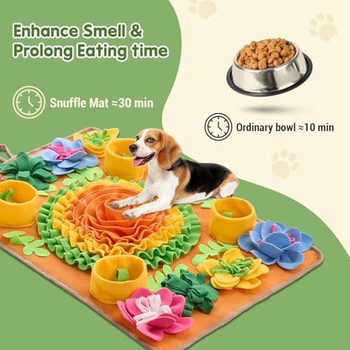 Snuffle Mat for Dogs