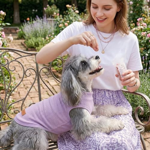 3Pack Dog Shirts Lightweight Waffle Dog Shirt for Small DogsSleeveless Dog Shirt for Small Medium Boy Girl Dogs Cozy & Breathable Pet Vest (S(Back: 11.8", Chest: 15.7", 5.5-8.8lbs) / Striped+Light Purple+Deep Purple)