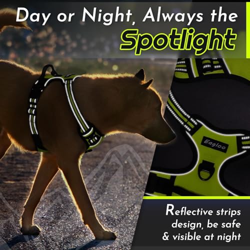 Dog Harness for Small Dogs (Small / Green)