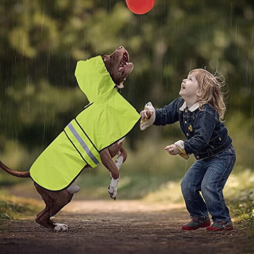 Waterproof Puppy Rain Jacket (Neon Green / Small)