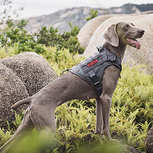 Tactical Dog Harness Vest No (Small / Grey)