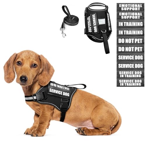Service Dog Harness and Leash Set (X-Small / Black)