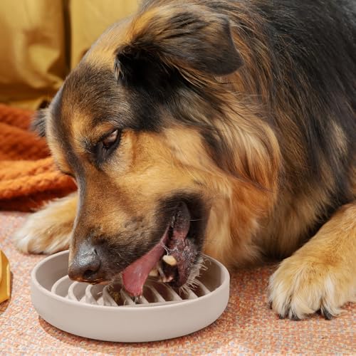 Slow Feeder Dog Bowl (Sand - Rainbow Design / Medium (7.5” Across x 1.5” Tall))