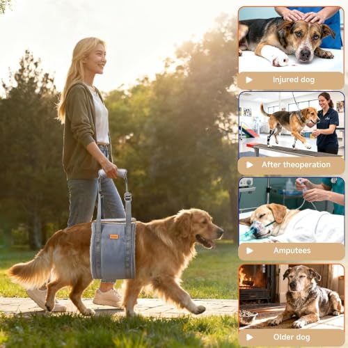 Dog Lift Harness for Large Dogs Adjustable Dog Sling for Back Legs (Grey / Large)