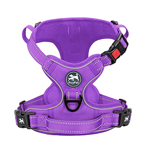 No Pull Dog Harness (Medium / Purple(Matching Trim))